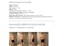 create a personalized workout plan for muscle gain or weight loss